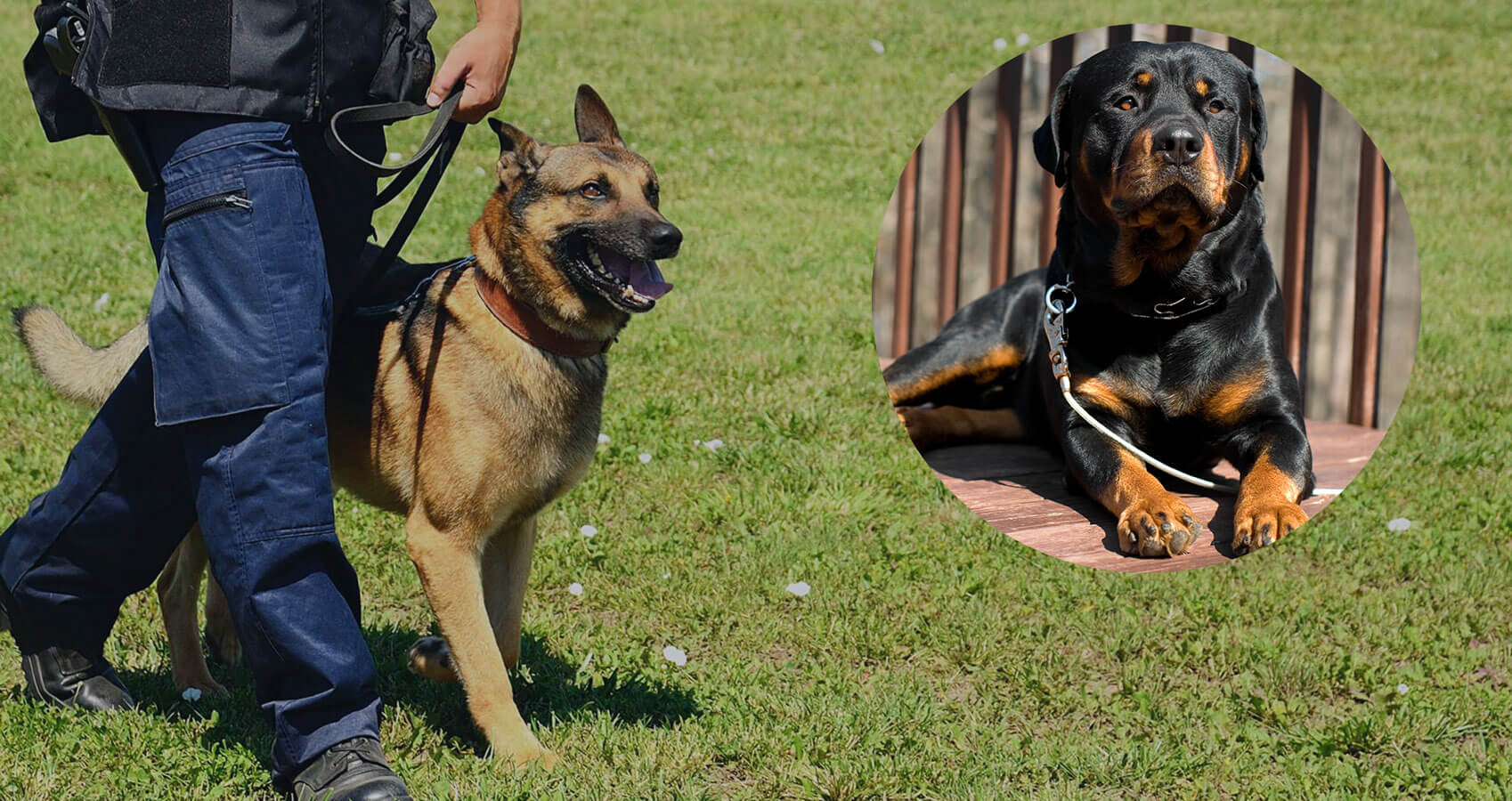 The Best of Security Companies In Nairobi, Kenya and East Africa